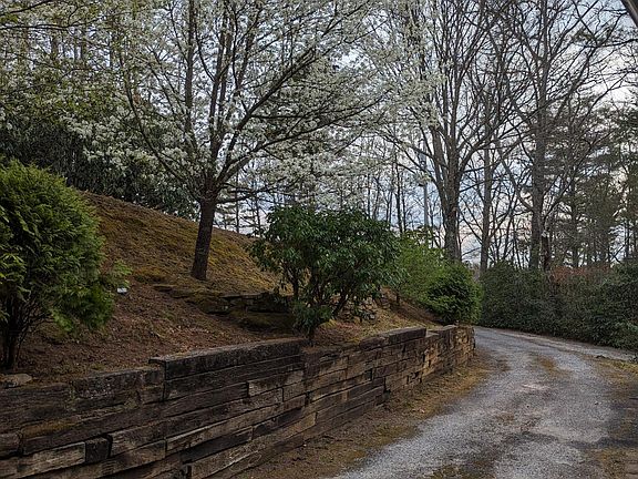 2nd image of 1111 Shirley Pressley Rd #3