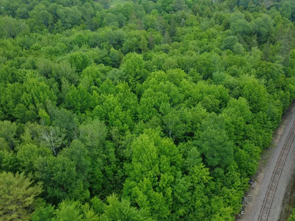 Lot 19 Old Codyville Road, Lambert Lake Twp, ME 04454