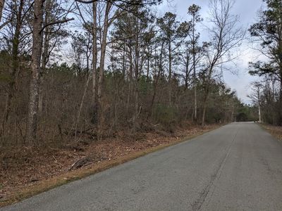 County Road 183, Haleyville, AL, 35565