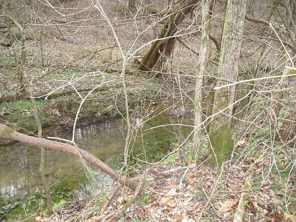 2nd image of 0 Rogues Fork Rd