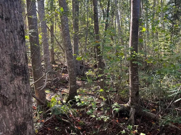 Ppf 18 Payne Pond Rd #Ppf-18, Westville, SC 29175