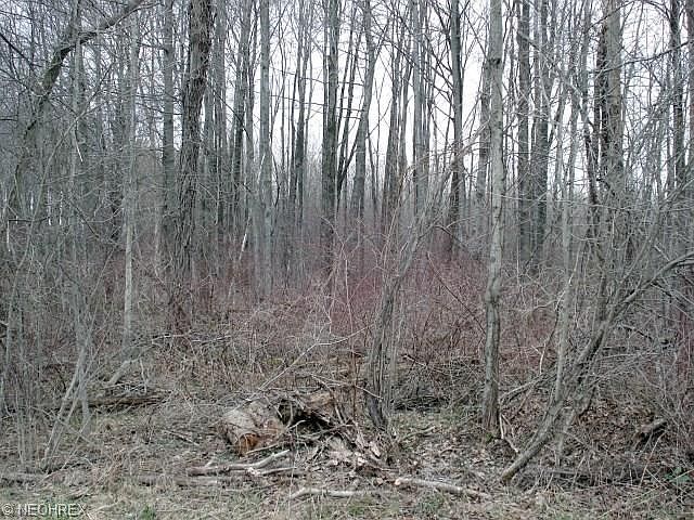 2nd image of Rockwell Rd