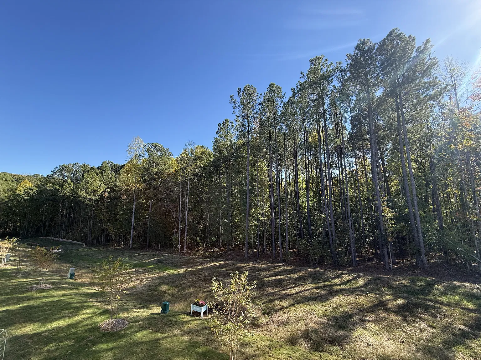 4 bed, 3.5 bath, 2230 sqft, $2,340 — Photo 3