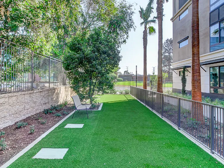 Open space for pets to play