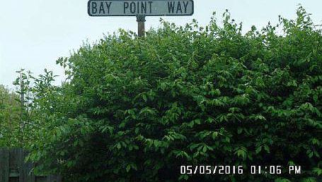 2nd image of 3433 Bay Point Way
