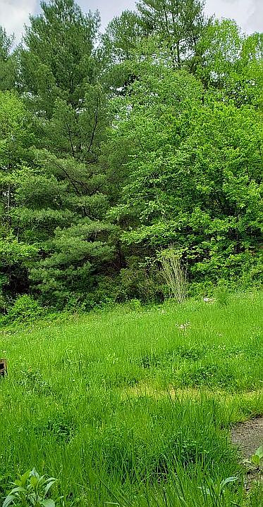 2nd image of 561 Hayes Hollow Rd