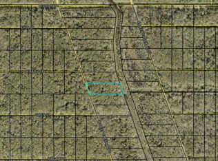 W Deep Creek Blvd LOT 8, Hastings, FL 32145