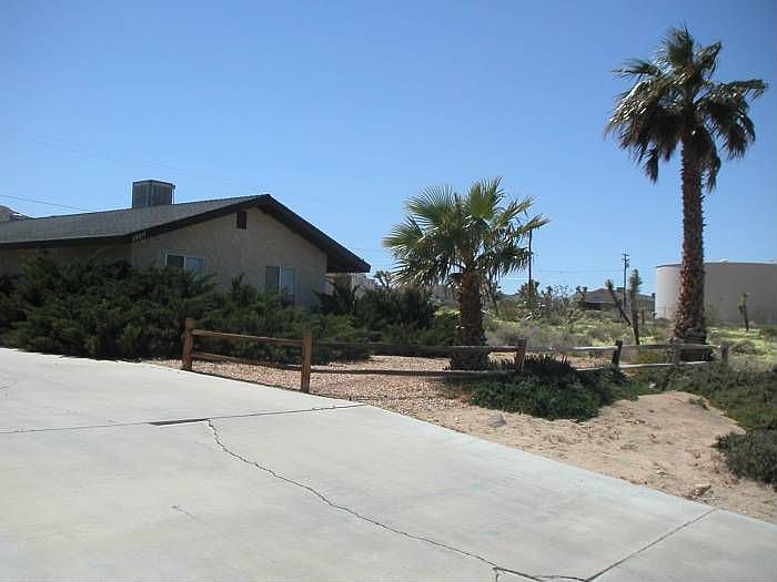 Palms in Front