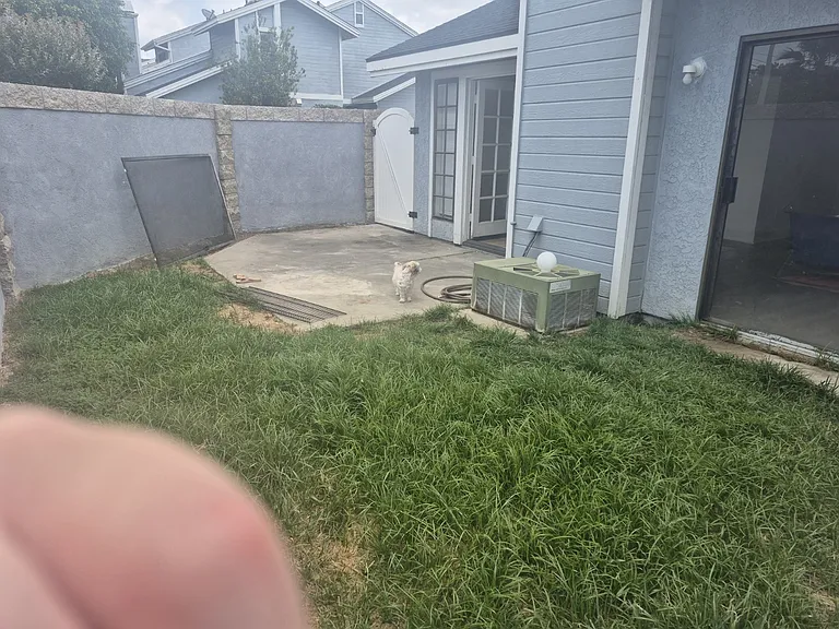 14562 Holt Ave #A — Photo 19