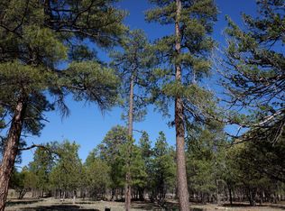2334 Pine Canyon Dr, Happy Jack, AZ 86024