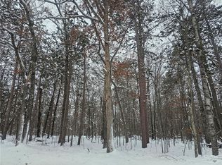 LOT 6 Long Lake Rd, Danbury, WI 54830
