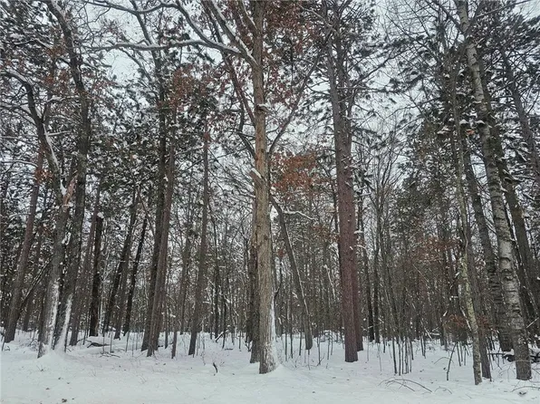 Lot 6 Long Lake Road, Danbury, WI 54830
