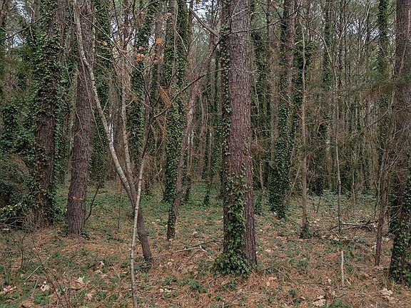 4th image of 23 Chesawadox Dr