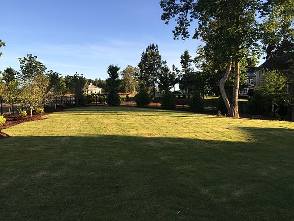 Backyard New Fence/Landscape