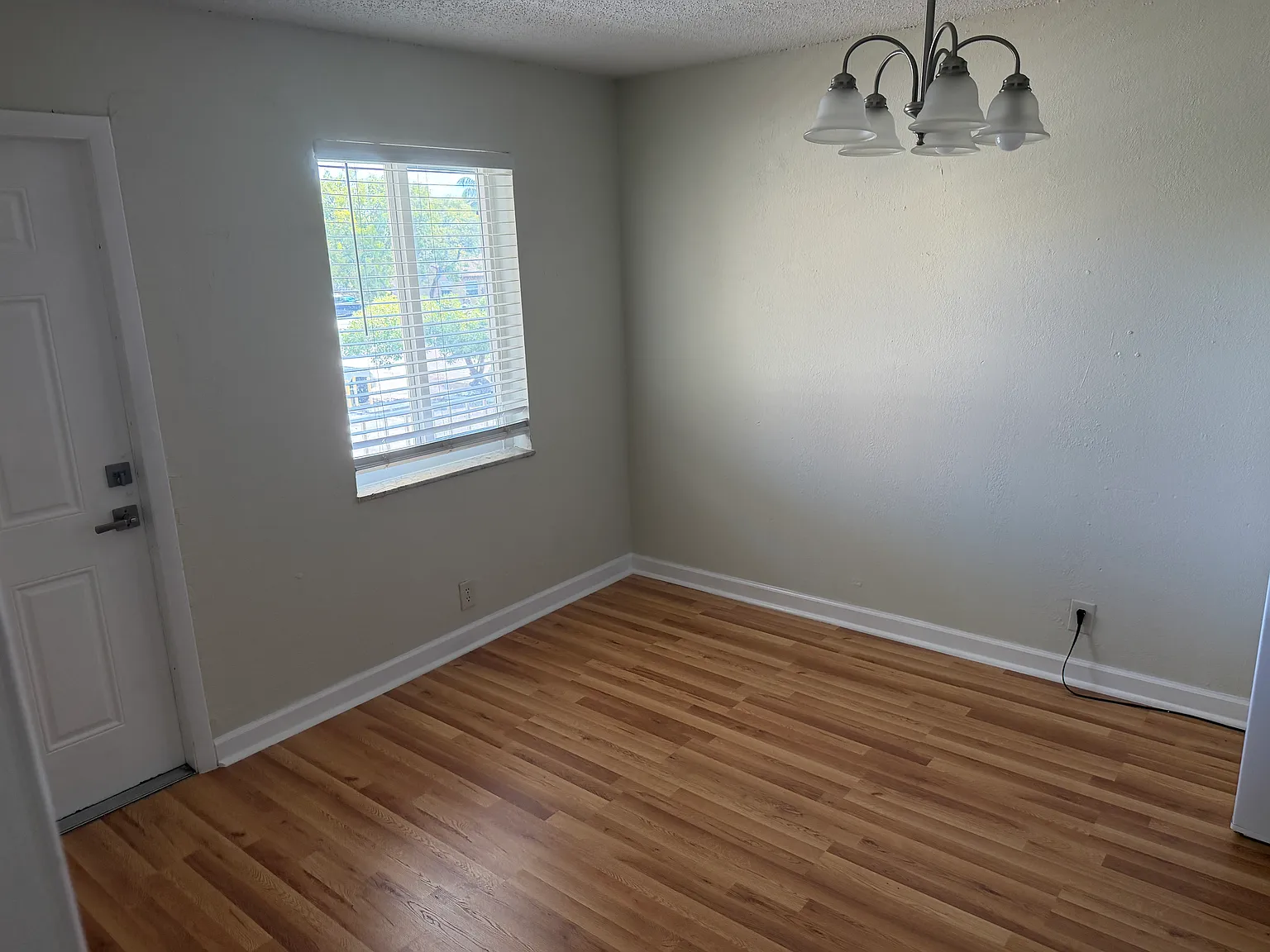 Atlantic Palms LLC — Photo 3