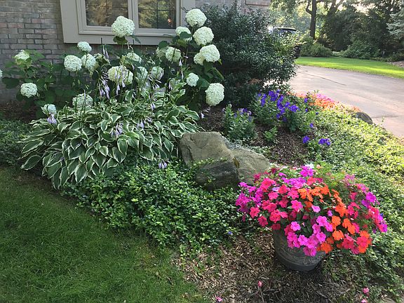Gorgeous landscaping 