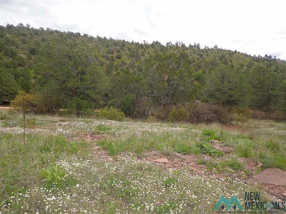 1st image of 5 Roadrunner Rd