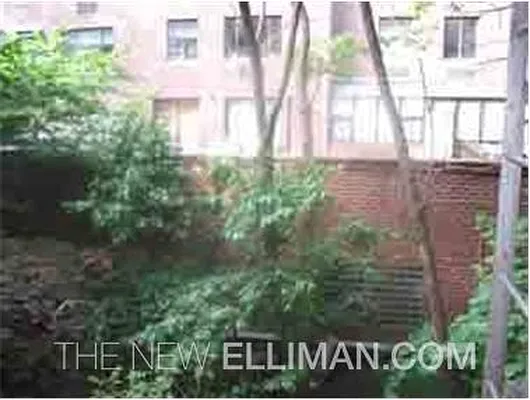 Rented by Douglas Elliman | media 7