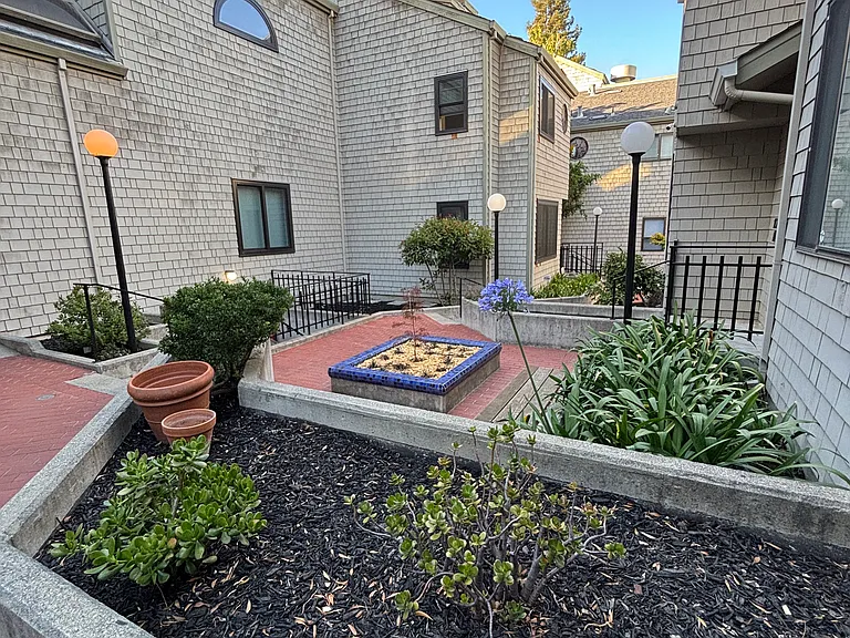 Outside garden area
