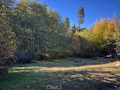 430 Alder Ln #5, Cedar Glen, CA, 92321