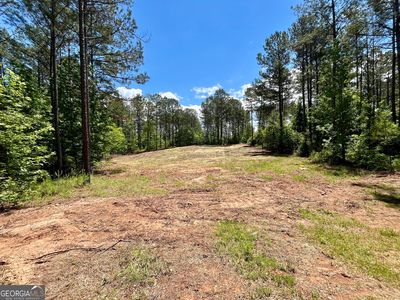 0 Rollin Mill Rd #1 & 5, Franklin, GA, 30217