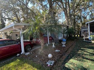 3903 Bamboo Palm Way, Plant City, FL 33566