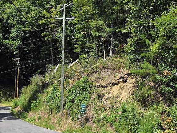 2nd image of LOT 1 Black Walnut Flats Rd