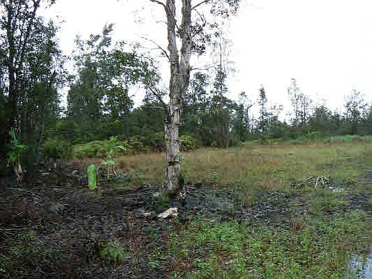 2nd image of 40th St Lot 27