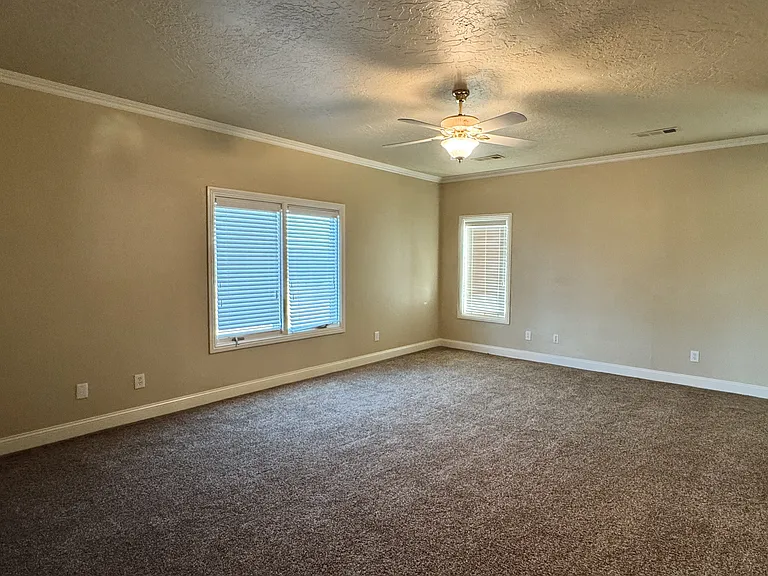 315 W Wild Horse #A — Photo 13