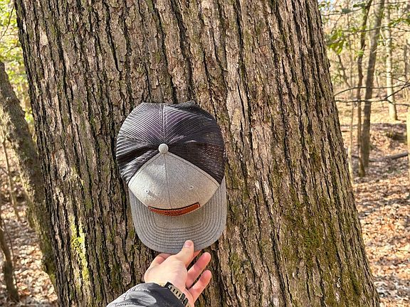 Photo Feb 05 2026 11 22 22 Am