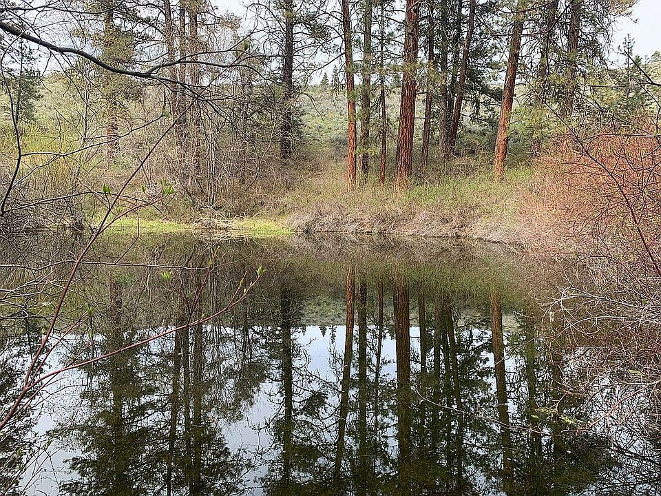 My pond in the shrub steppe