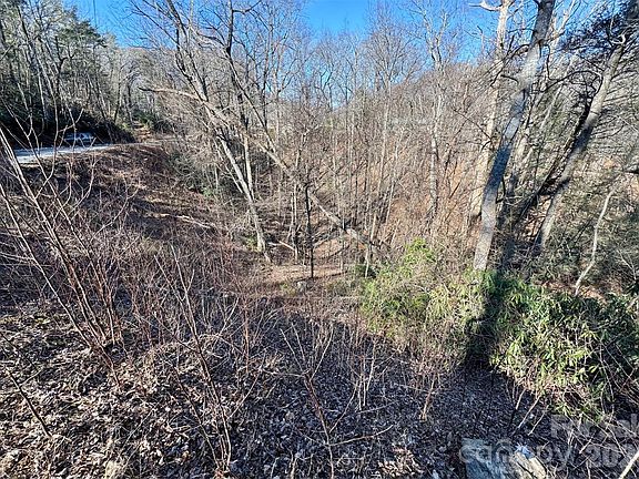 3rd image of 42 Asa Gray Dr