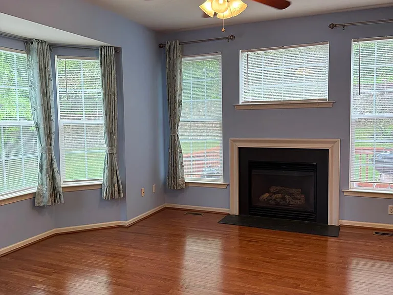 116 Fringetree Dr — Photo 7