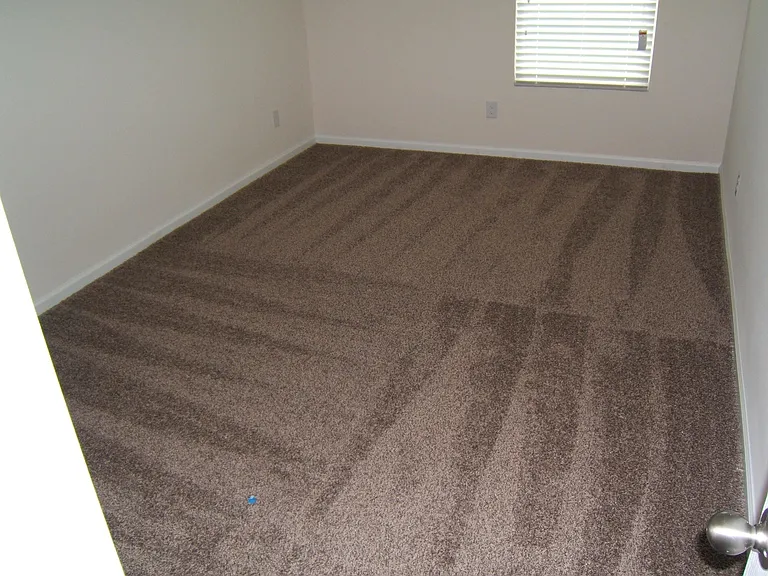 240 Blue Creek Way — Photo 8
