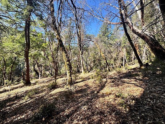 5th image of Out 16n01 Forest Rd