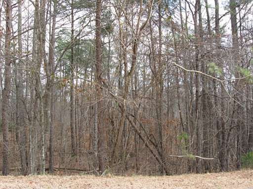 2nd image of 6389 Loch Arbor Dr