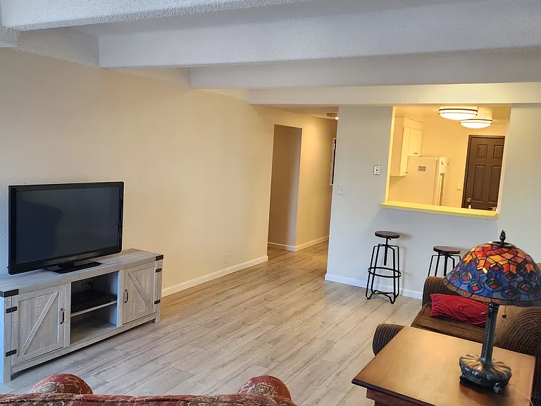 415 S Howes St #503 — Photo 3