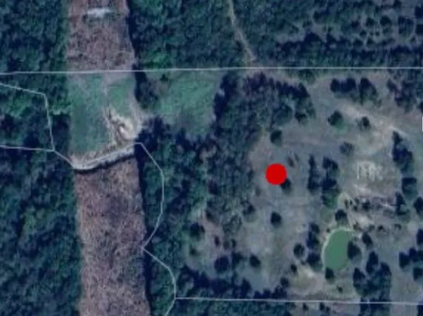 8255 County Road 1216, Blue Ridge, TX 75424