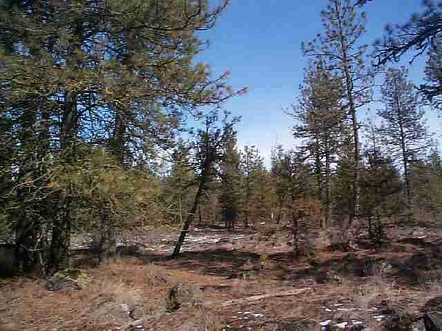 2nd image of 0 S Ritchey Rd