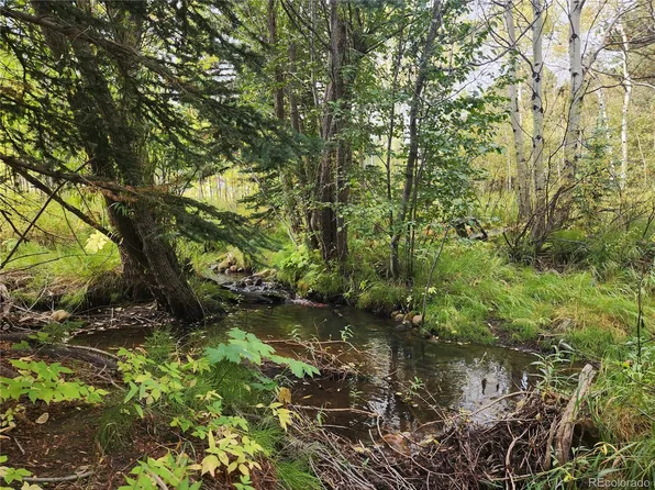 531 Caribou Road, Nederland, CO 80466