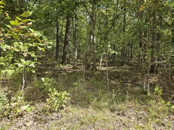 000 Cedar Ridge Lane, Cape Fair, MO 65624