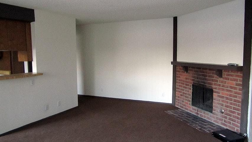 Wood Burning Fireplace