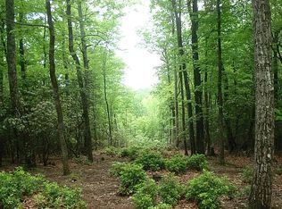 93 Squire Court Chestnut Mountain Farm, McGrady, NC 28649