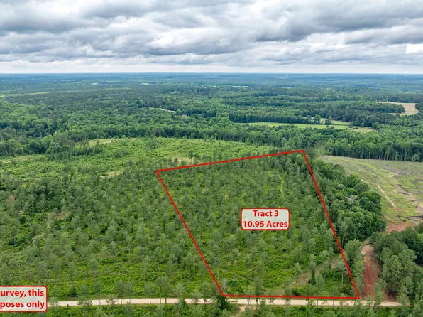 0 McWhorter Rd, Stephens, GA 30667