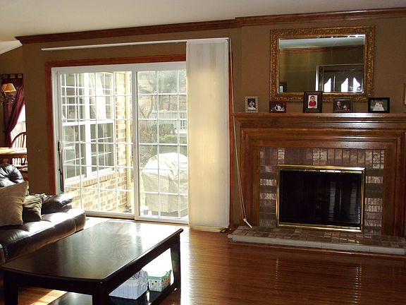 Wood Burning Fireplace