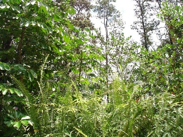 1st image of 16-2081 Kuleana St Lot 31