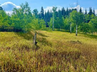 32556 Ute Trl, Oak Creek, CO 80467