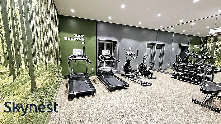 Rented by Skynest  | media 15