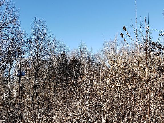5th image of Oak Forest Dr