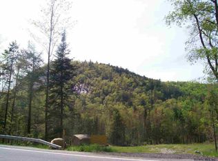 28 North Rte, Minerva, NY 12851